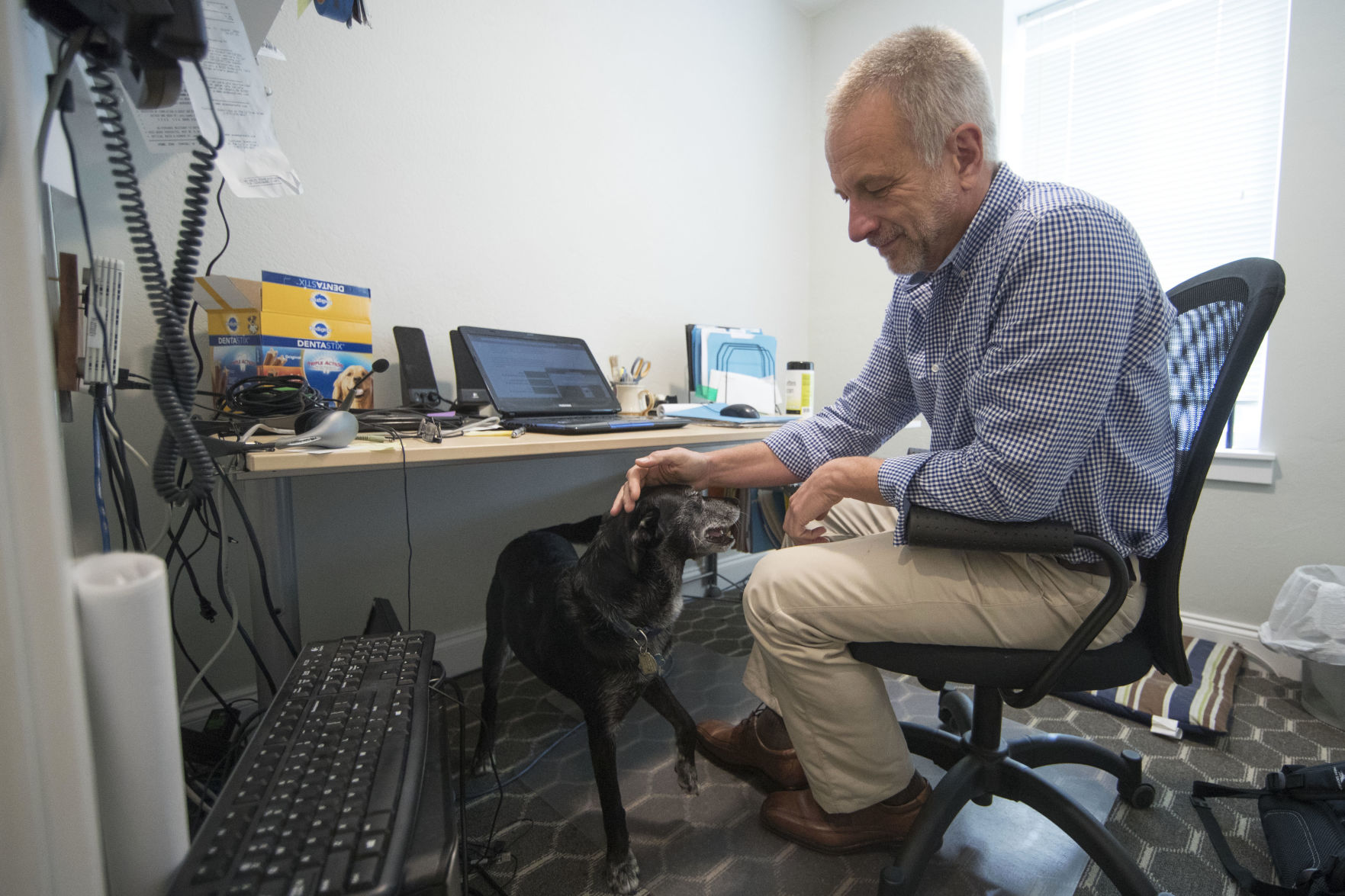 SmallBiz-Small Talk-Pets at Work